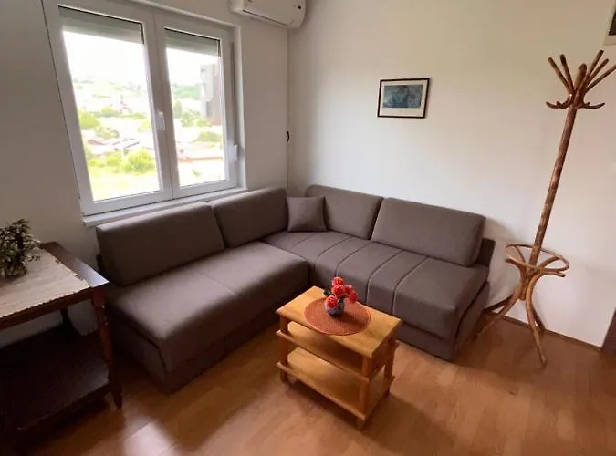 アパート Smestaj Katarina ソコバニャ