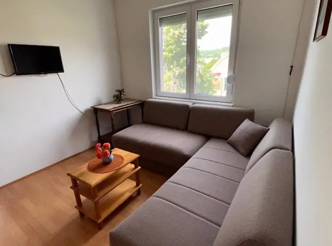 Smestaj Katarina アパート ソコバニャ